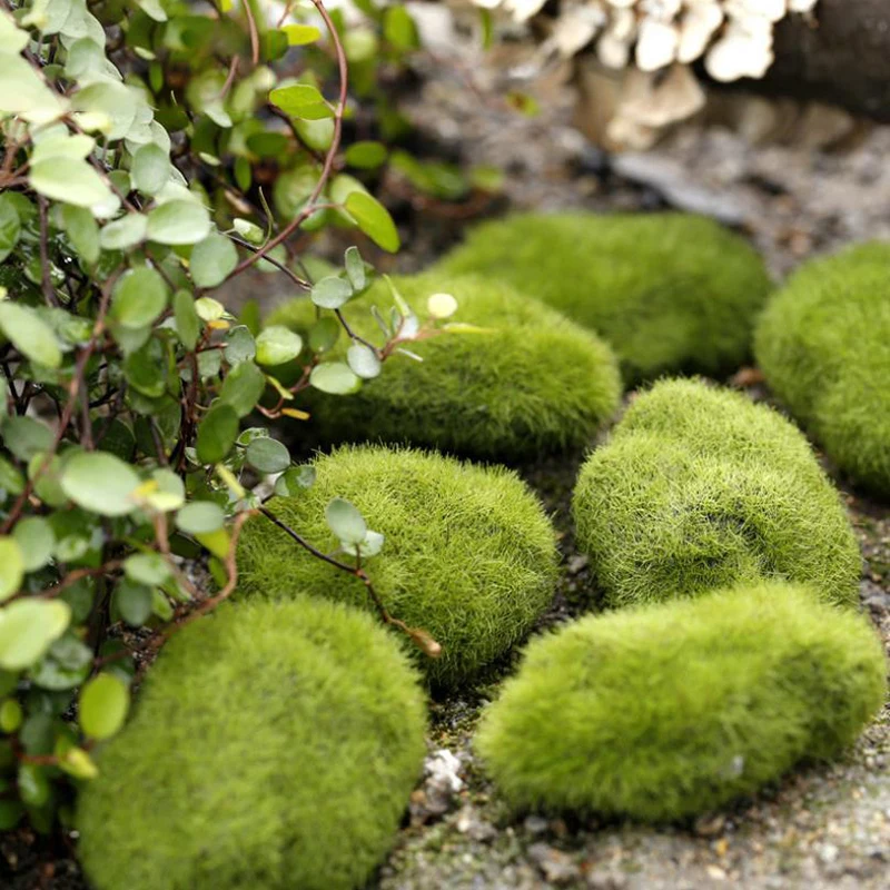 4Pcs Micro Landscape Artificia – обзор и цена Terrarium Moss Art
