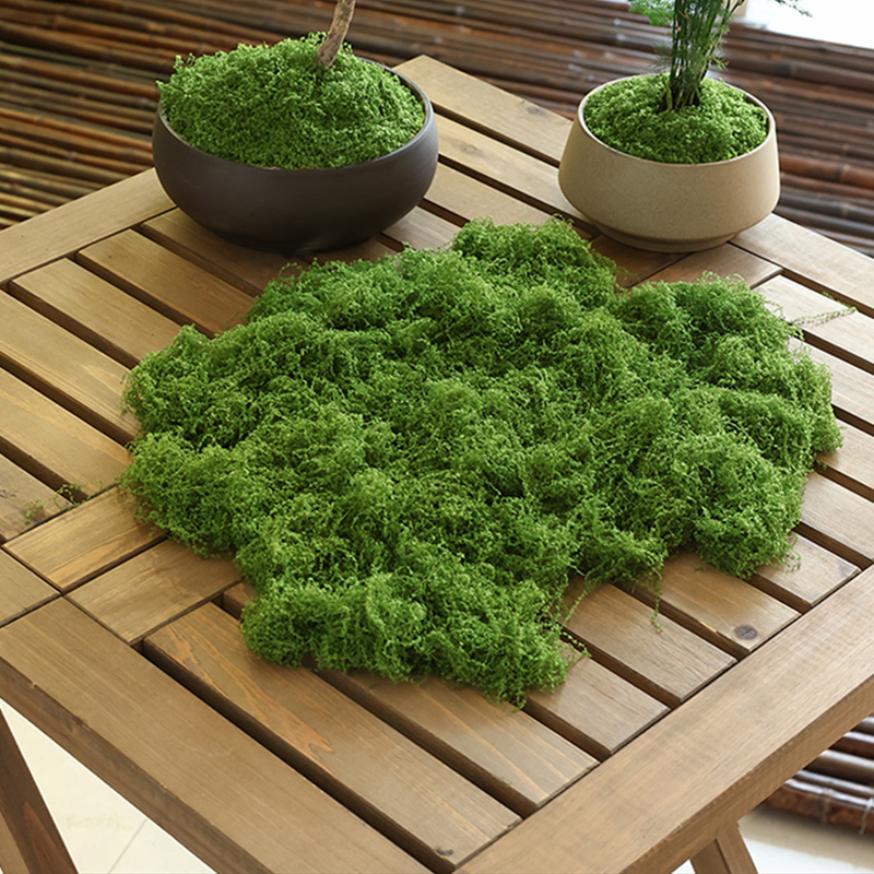 about 20g Artificial Green Pla – обзор и цена Terrarium Moss Art