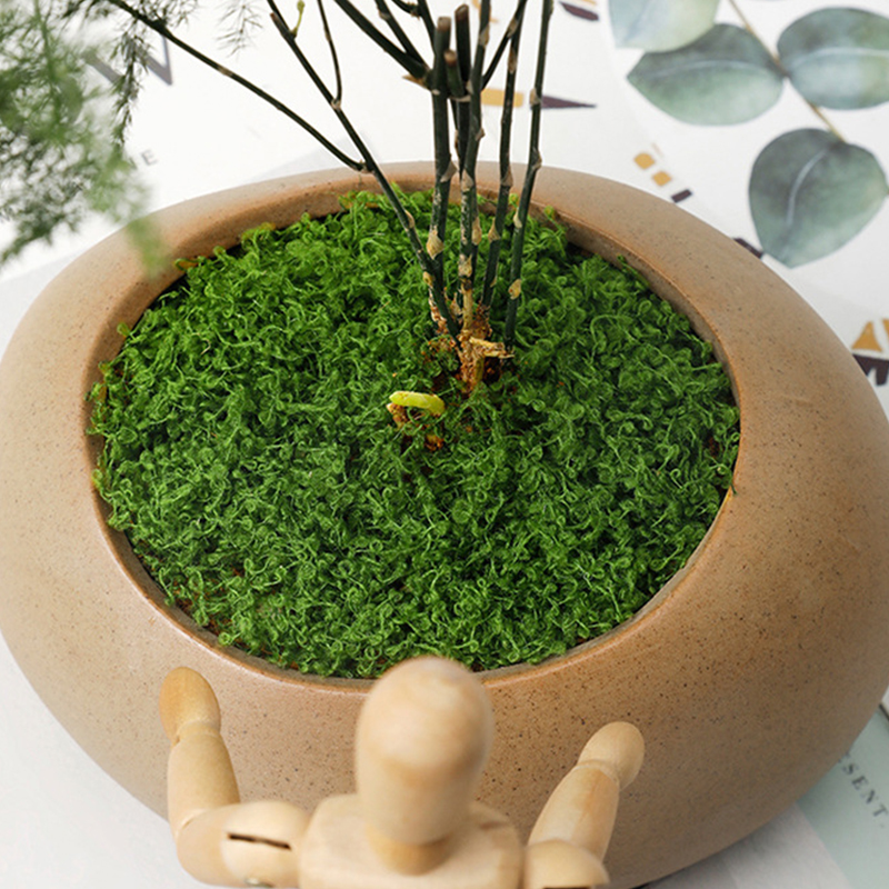 about 20g Artificial Green Pla – обзор и цена Terrarium Moss Art