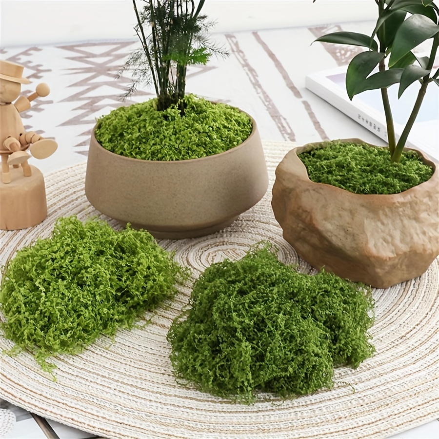 1pack Artificial Fake Moss, 1. – обзор и цена Terrarium Moss Art