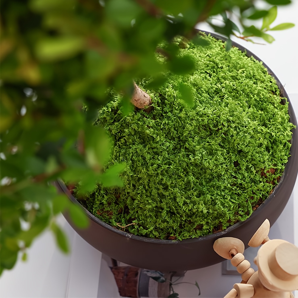 1pack Artificial Fake Moss, 1. – обзор и цена Terrarium Moss Art