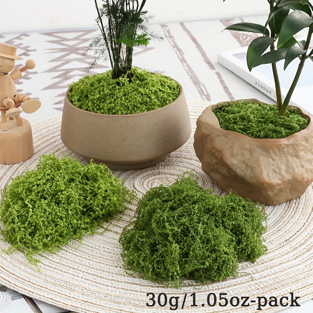 1pack Artificial Fake Moss, 1. – обзор и цена Terrarium Moss Art