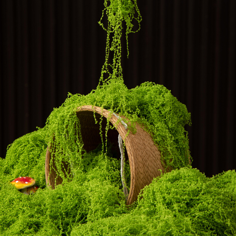 200g Eternal Life Moss DIY Cra – обзор и цена Terrarium Moss Art