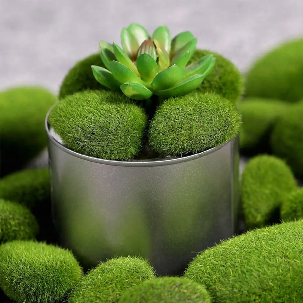 Floral Arrangements Fake Stone – обзор и цена Terrarium Moss Art
