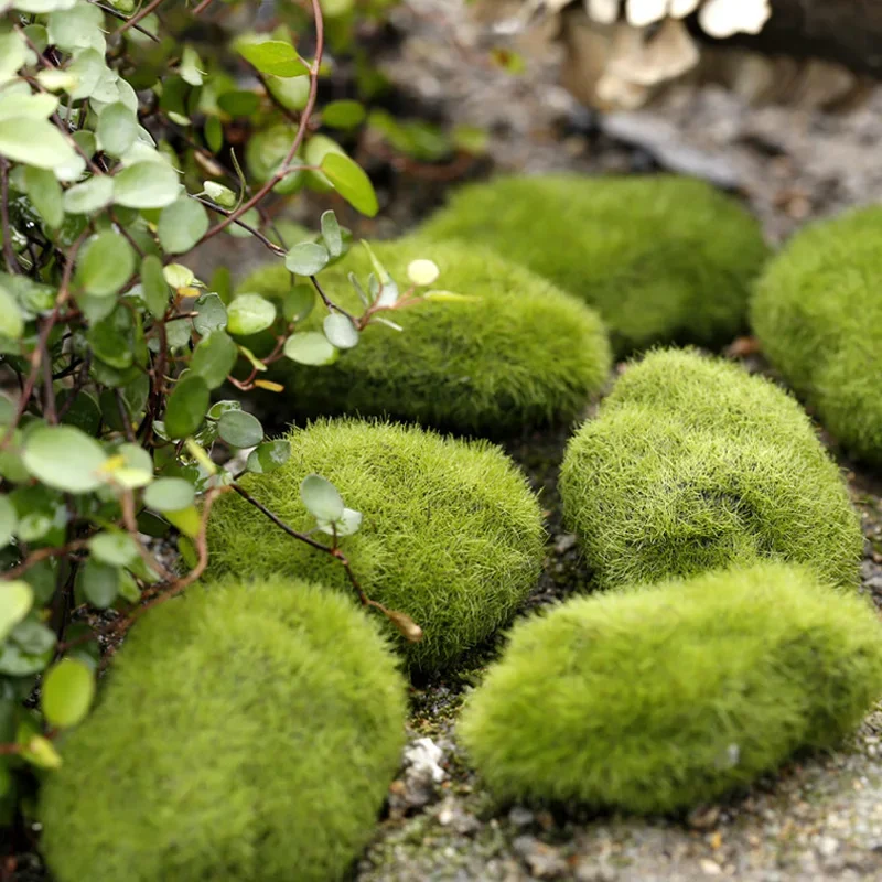 Fake Stone Artificial Moss Roc – обзор и цена Terrarium Moss Art