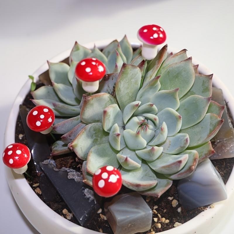 10-80PCS Mini Color Mushroom D – обзор и цена Terrarium Moss Art