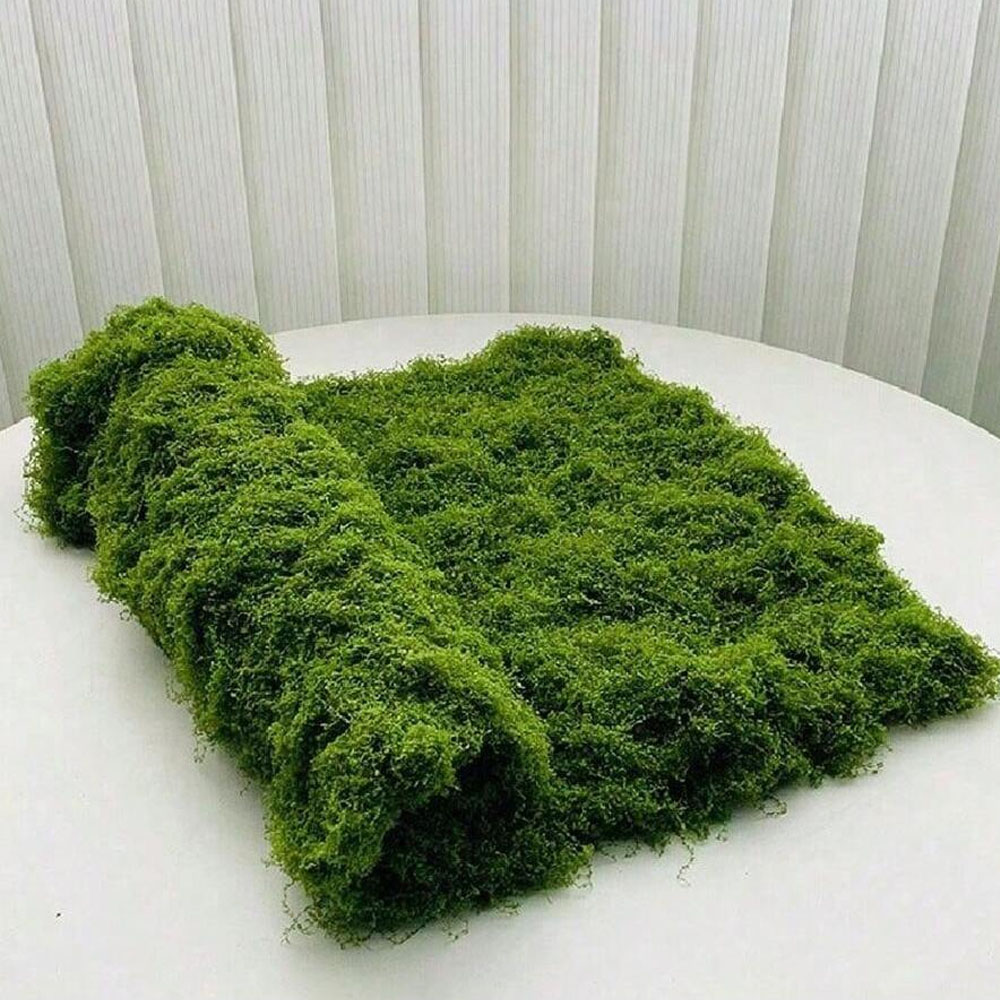 1*1m Fake Moss DIY Crafts Gras – обзор и цена Terrarium Moss Art