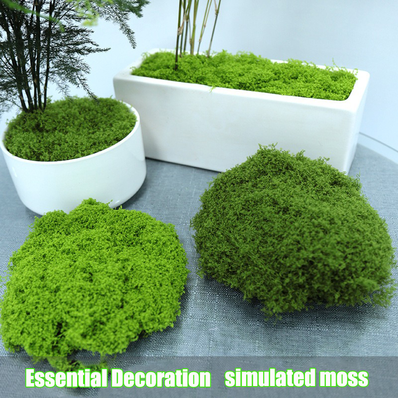 Artificial simulation of moss  – обзор и цена Terrarium Moss Art