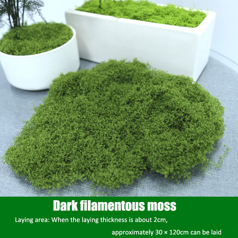 Artificial simulation of moss  – обзор и цена Terrarium Moss Art