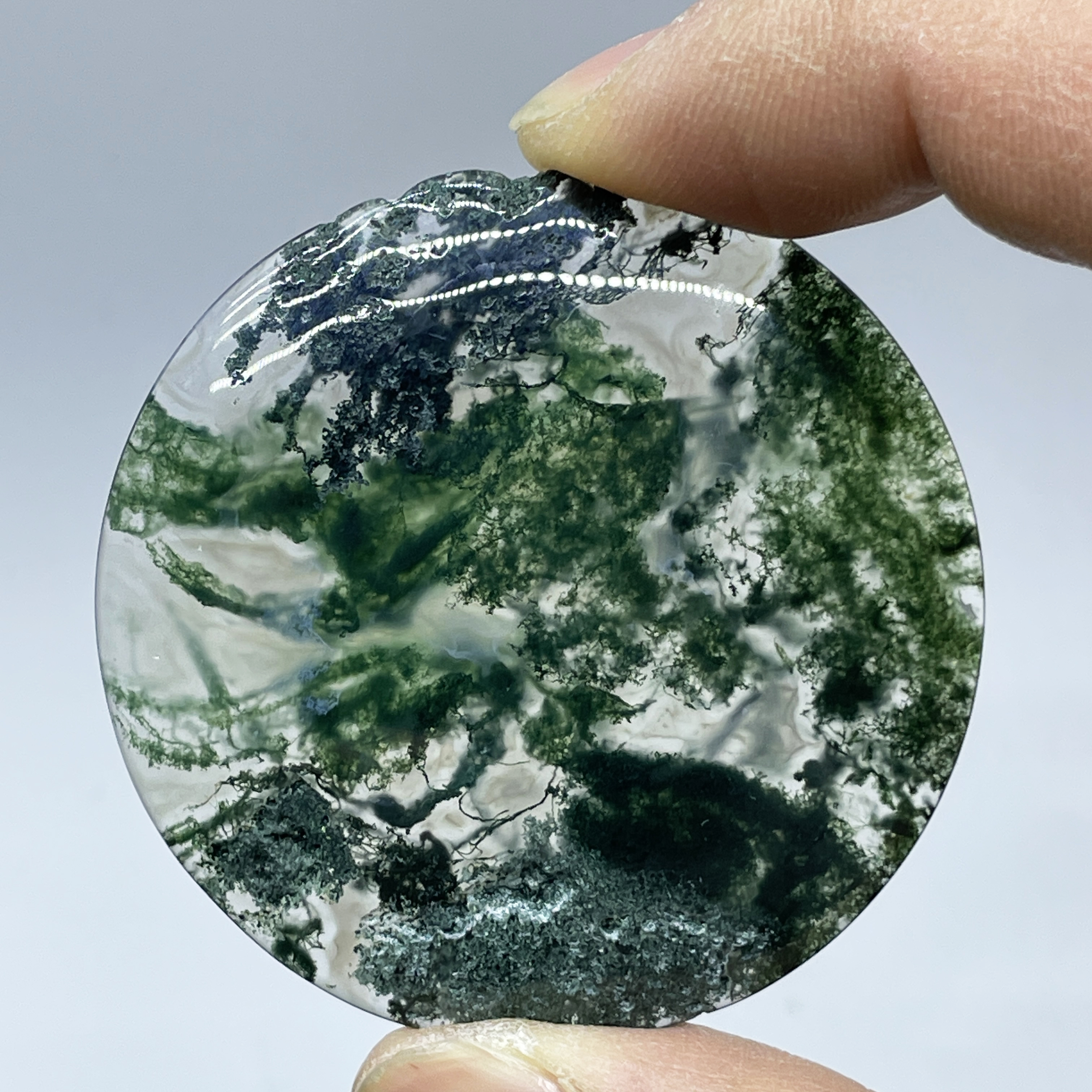 Natural Crystal Moss Agate Wat – обзор и цена Terrarium Moss Art